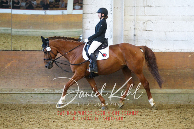 DKP43790 | Turniersportfotografie; Pferdefotografie; Dressurfotografie