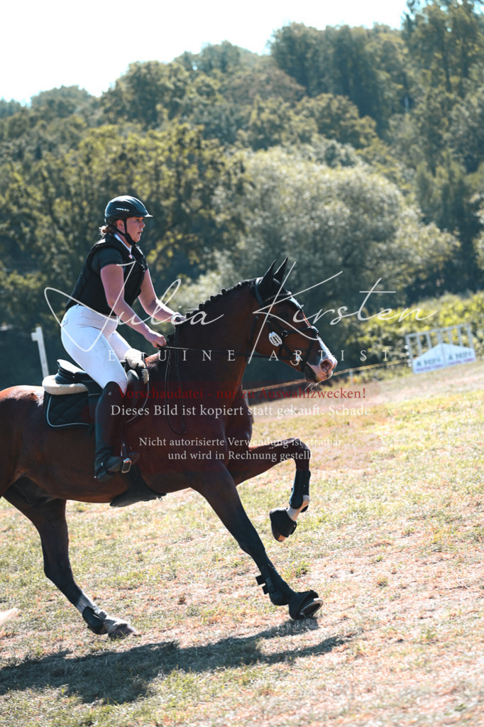 DSC_8142 | Pferde- und Turnierfotografie in Westsachsen. Pferdeportraits, Auftragszeichnungen und intuitive Kunst.