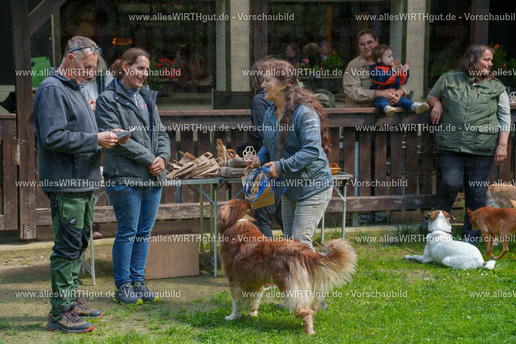 @allesWIRTHgut_Tierfotografie - www.allesWIRTHgut.de - 7R506116 | Professionelle Tierfotografie in Mönchengladbach von Daniel Wirth (allesWIRTHgut). Liebevolle & natürliche Bilder von Hunden & Katzen für unvergessliche Erinnerungen.