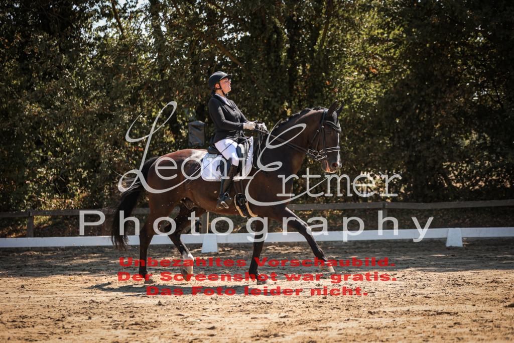 06.SoDrM00165 | Leoni Ertmer Photography - Realisiert mit Pictrs.com