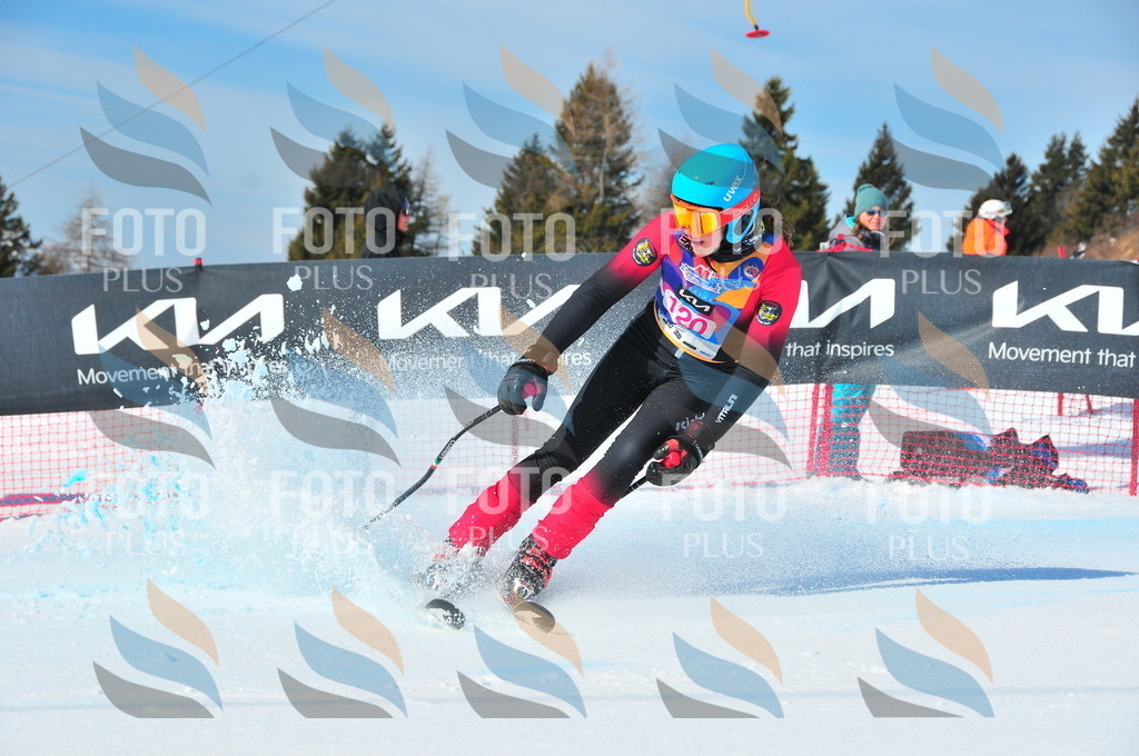 DSC_4771 | holidayphoto