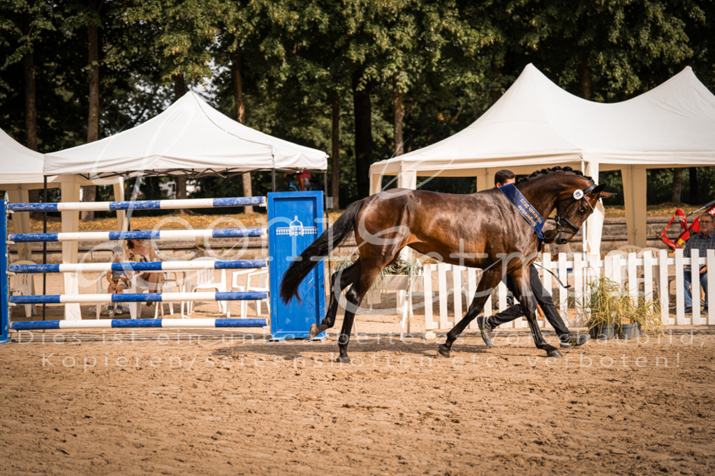 FrER00236 | Leoni Ertmer Photography - Realisiert mit Pictrs.com