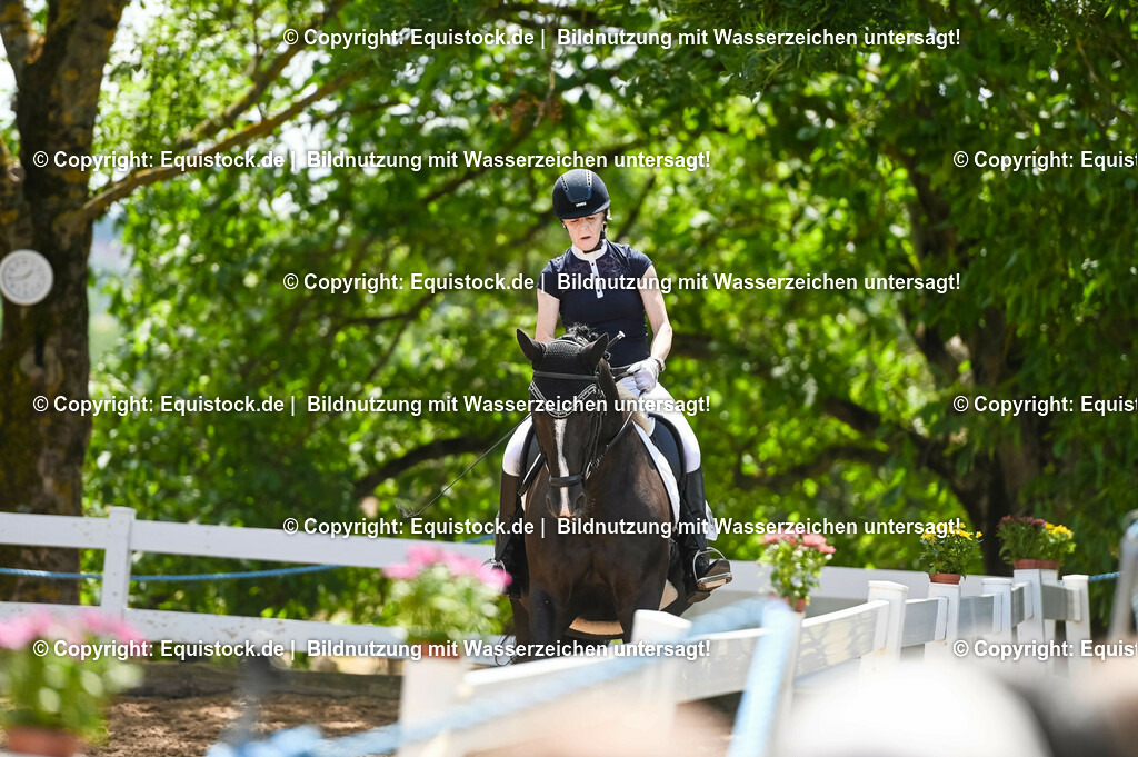 20230716_03_Dressurprfg. Kl.L - Tr._0153 | equistock