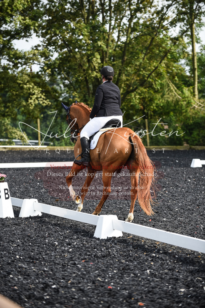 DSC_3066 | Pferde- und Turnierfotografie in Westsachsen. Pferdeportraits, Auftragszeichnungen und intuitive Kunst.