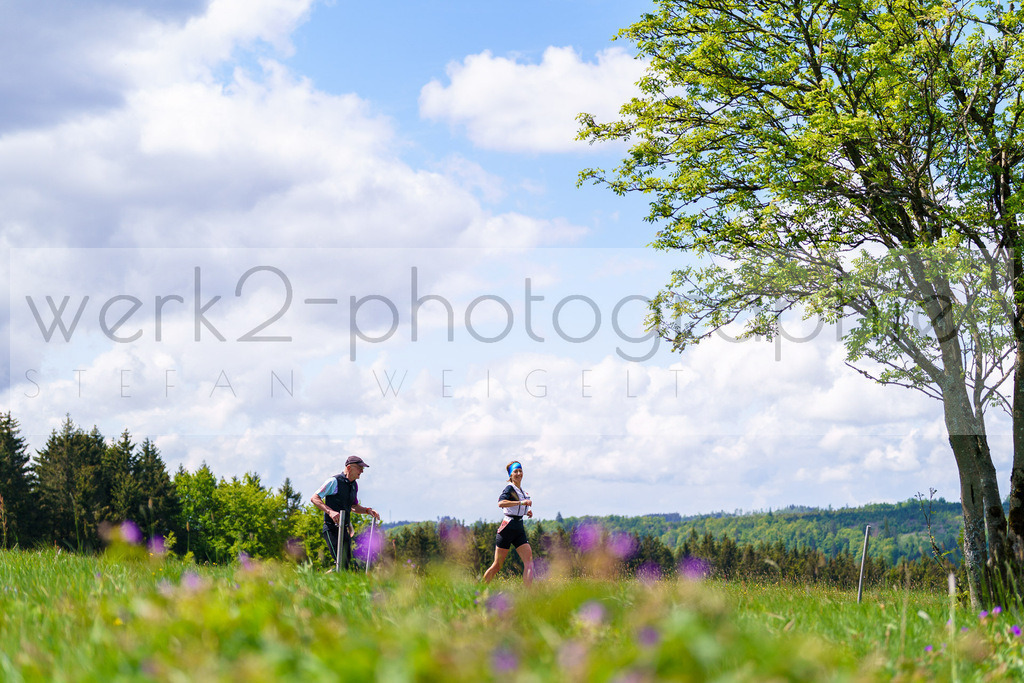 Rennsteiglauf Marathon 2025 | Marathon von Neuhaus/Rwg. nach Schmiedefeld/Rstg. am 17. Mai 2025