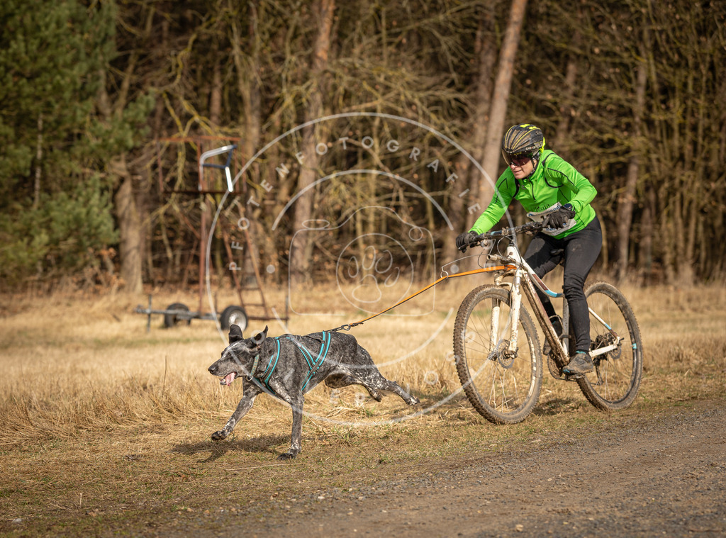 DV3A4424 | Hundefotografie, Tierfotograf, Pfotenfotografie, Fotoshooting Hund, Hunde Portrait, Hundesport, Hundeportraits, Heideshooting, Hunde, Sportfotograf, Hundefotograf, Turnierhundsport, THS,  - Realisiert mit Pictrs.com