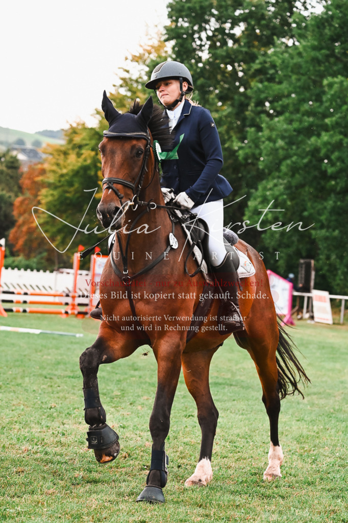 DSC_6716 | Pferde- und Turnierfotografie in Westsachsen. Pferdeportraits, Auftragszeichnungen und intuitive Kunst.