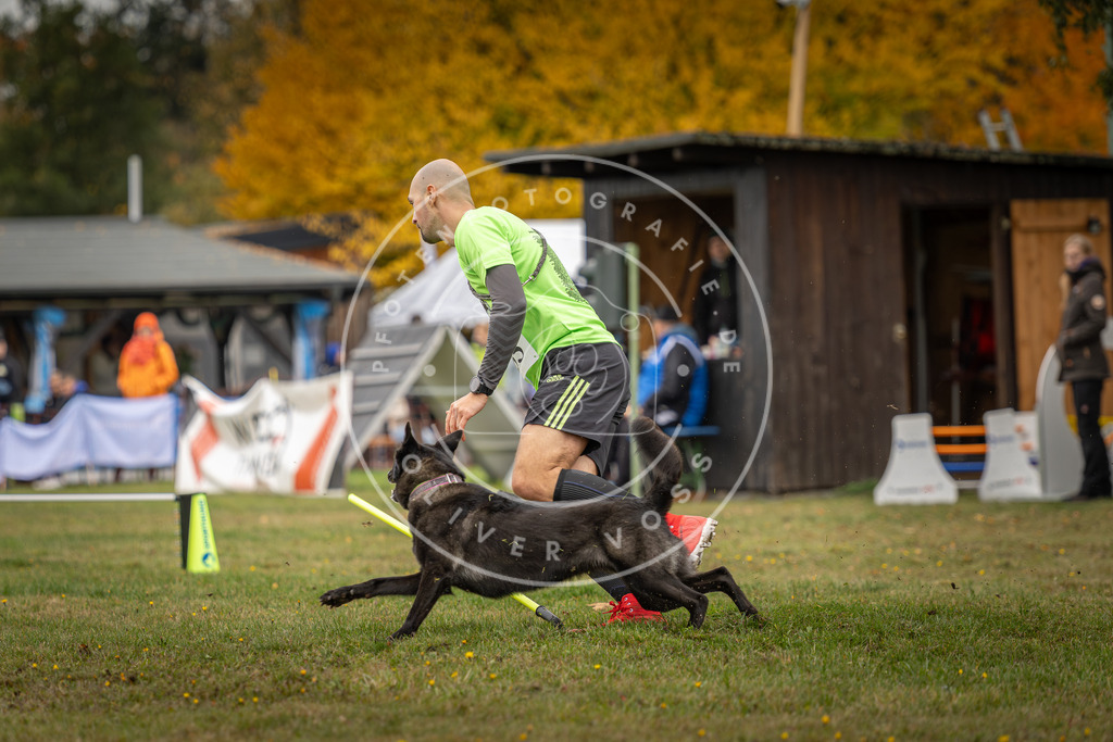 Pfotenfotografie_DV3A4894 | Hundefotografie, Tierfotograf, Pfotenfotografie, Fotoshooting Hund, Hunde Portrait, Hundesport, Hundeportraits, Heideshooting, Hunde, Sportfotograf, Hundefotograf, Turnierhundsport, THS,  - Realisiert mit Pictrs.com
