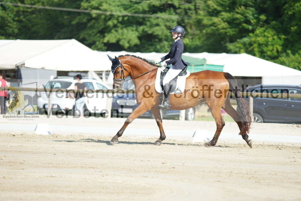 DSC04016 | equestrian-live-com