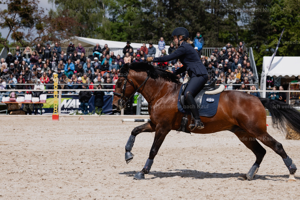 PI26_SP_StoibphotographyC2_C3424.CR3 | working equitationturnier fotograf videograf stoibphotography marixx film working equitation deutschland reitsport turnierfotografie eventfotografie equestrian events