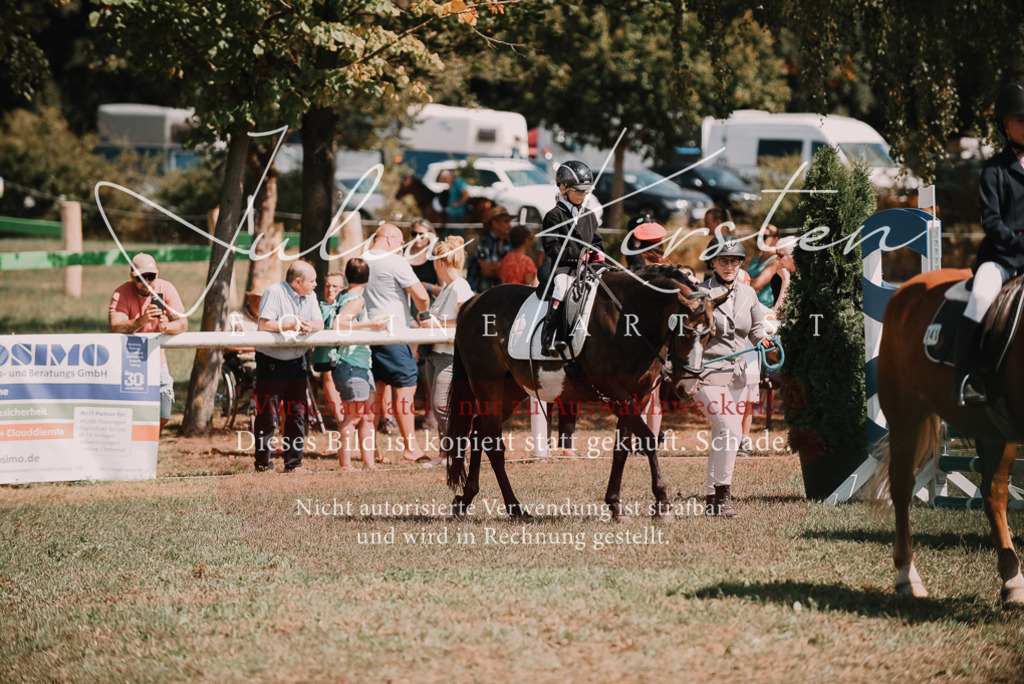 DSC_6029 | Pferde- und Turnierfotografie in Westsachsen. Pferdeportraits, Auftragszeichnungen und intuitive Kunst.