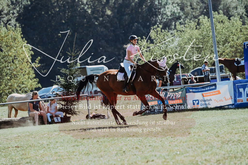 DSC_6550 | Pferde- und Turnierfotografie in Westsachsen. Pferdeportraits, Auftragszeichnungen und intuitive Kunst.