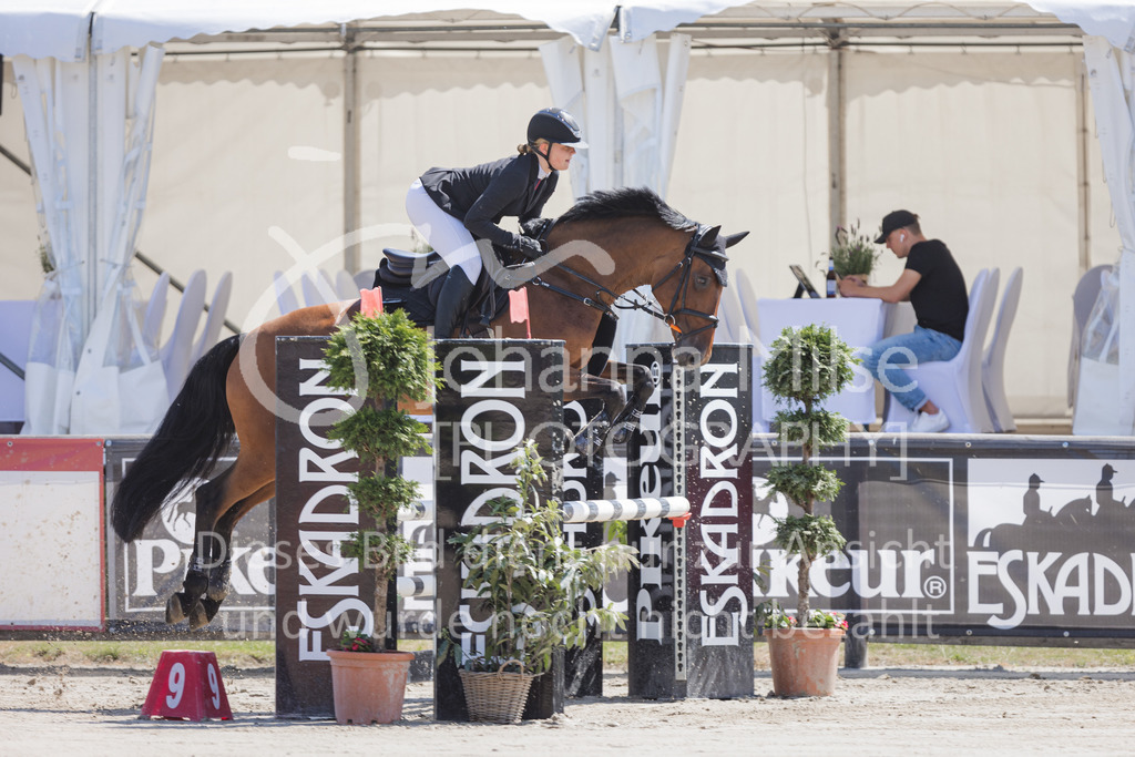 220612_LüPfSpTa_Stil-A2-306 | Lützower Pferdesporttage
Stilspringprüfung Kl.A** geschlossen
12.06.2022