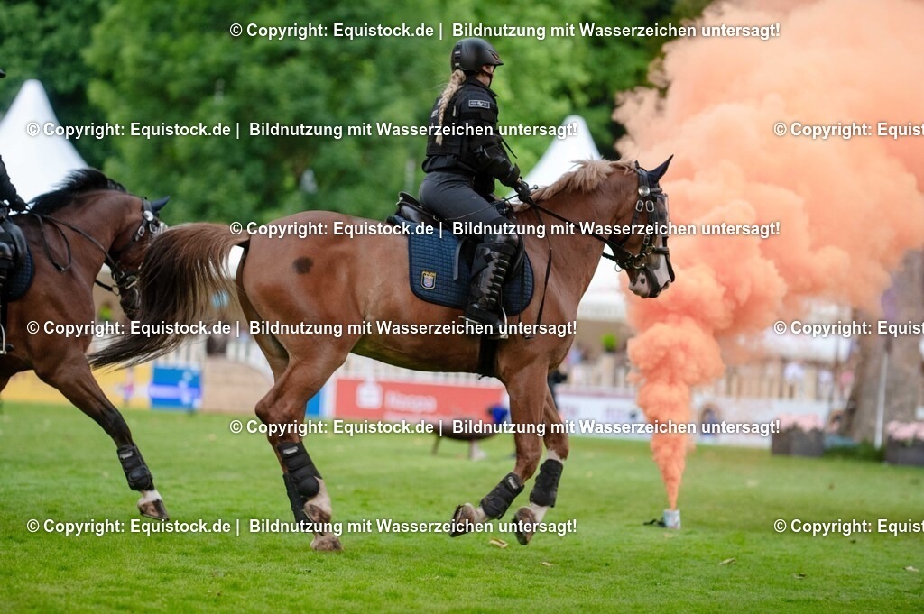 20250606_Lange-Pferdenacht_0740 | Foto: Thomas Hartig