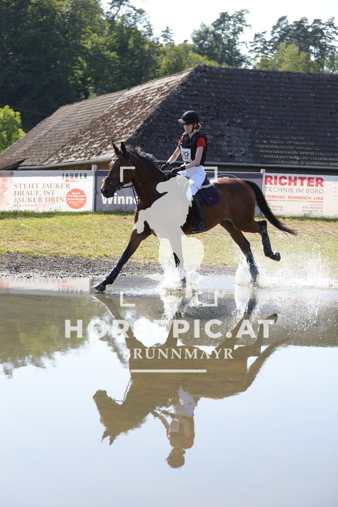 0P6A6298 | Willkommen bei Brunnmayr - Design & Fotografie – Ihrem Spezialisten für Reitturniere und Pferdeveranstaltungen in Oberösterreich, Salzburg und Bayern! Seit über 17 Jahren sind wir leidenschaftlich dabei.