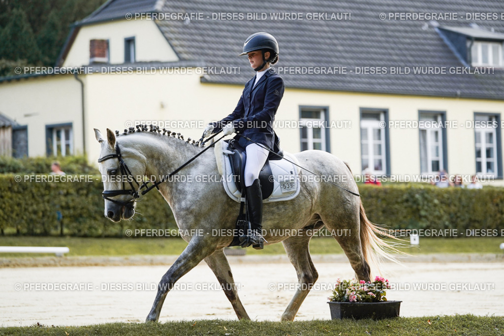 DSC05318 | Pferdegrafie