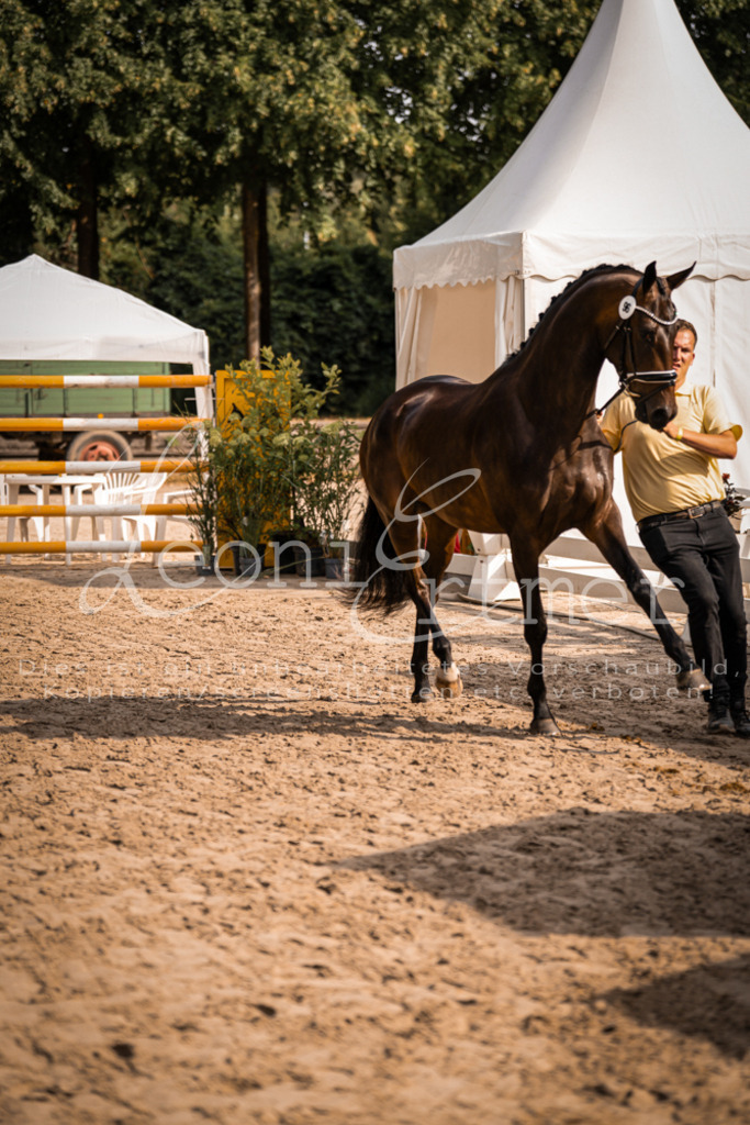 FrER00162 | Leoni Ertmer Photography - Realisiert mit Pictrs.com