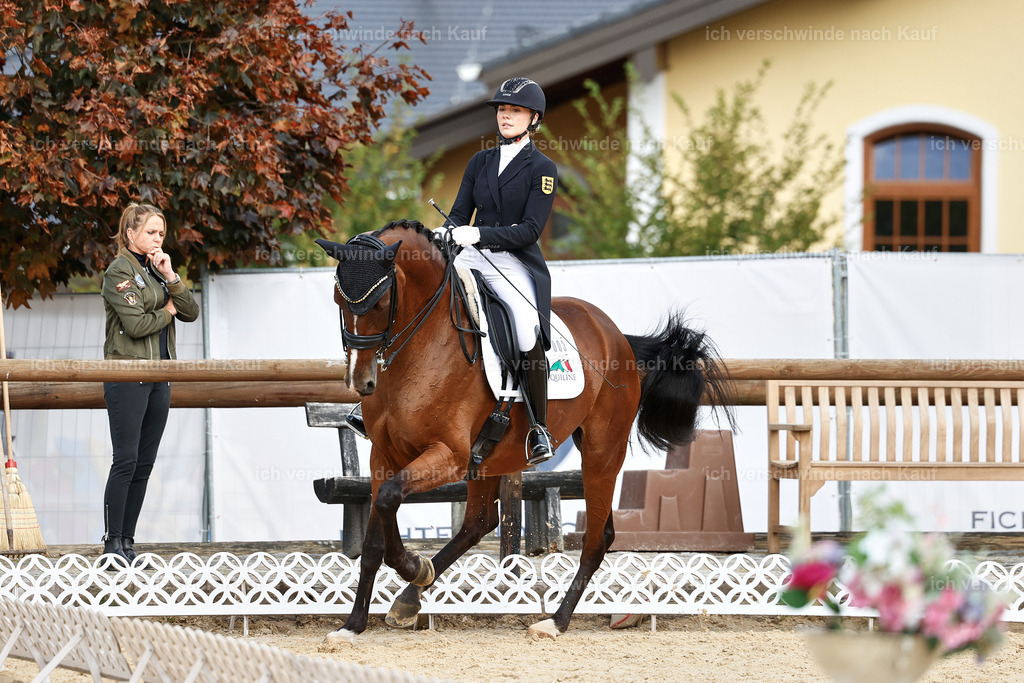 11-003-Dressur S___-StoibPH-1068 | working equitationturnier fotograf videograf stoibphotography marixx film working equitation deutschland reitsport turnierfotografie eventfotografie equestrian events