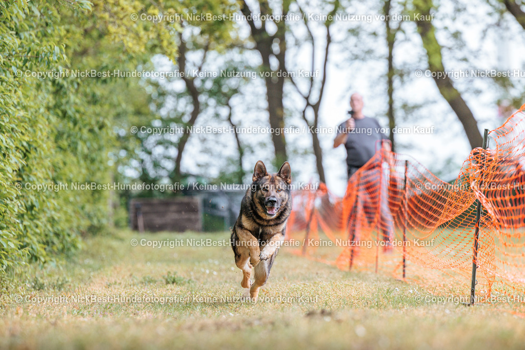 Sage Hunderennen Frühlingsfest-2026-Nickbest-Hundefotografie-0187 | Dein Hund! Dein Moment! Deine Erinnerungen! Hundefotografie in Bremen Blumenthal. Ich fange die besonderen Momente deines Vierbeiners ein – ob Indoor mit Blitzanlage oder in der freien Natur. Sicher dir dein Moment und dein Termin für eure Erinnerungen.