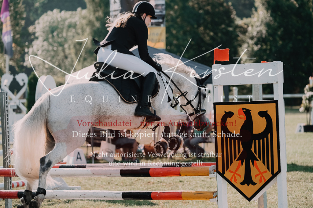 DSC_4440 | Pferde- und Turnierfotografie in Westsachsen. Pferdeportraits, Auftragszeichnungen und intuitive Kunst.