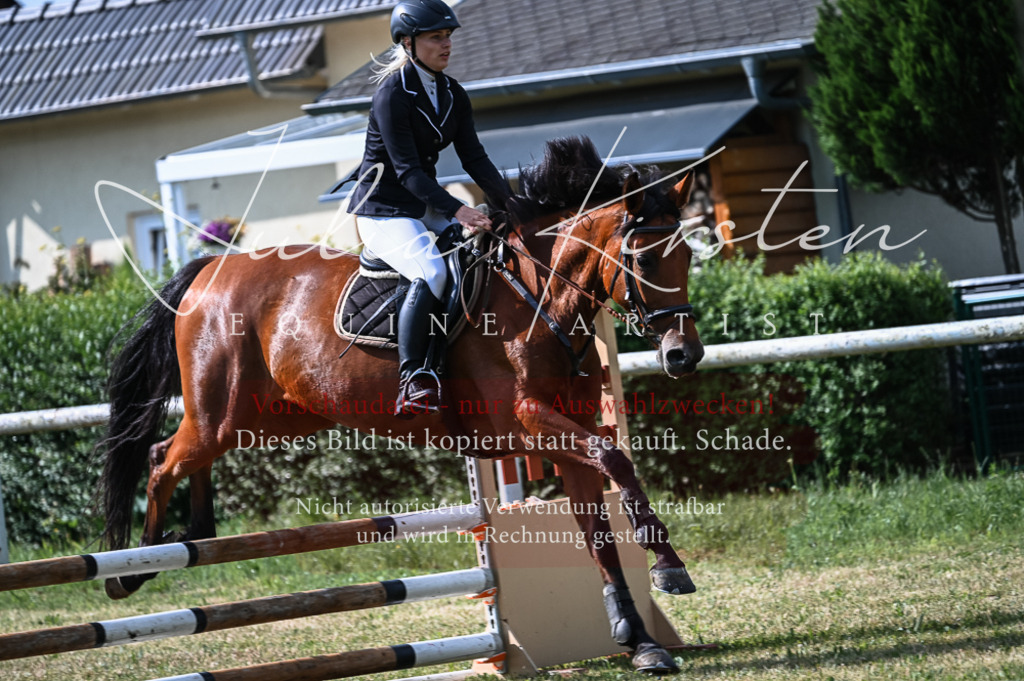DSC_7814 | Pferde- und Turnierfotografie in Westsachsen. Pferdeportraits, Auftragszeichnungen und intuitive Kunst.