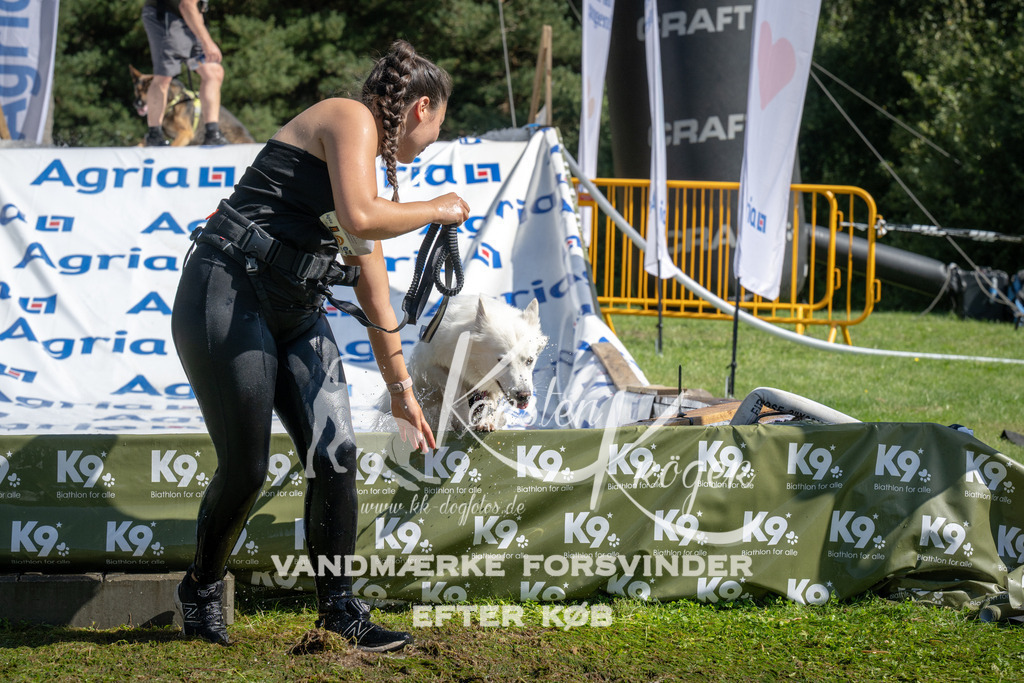 1141_ZZ93357 | kk-dogfotos