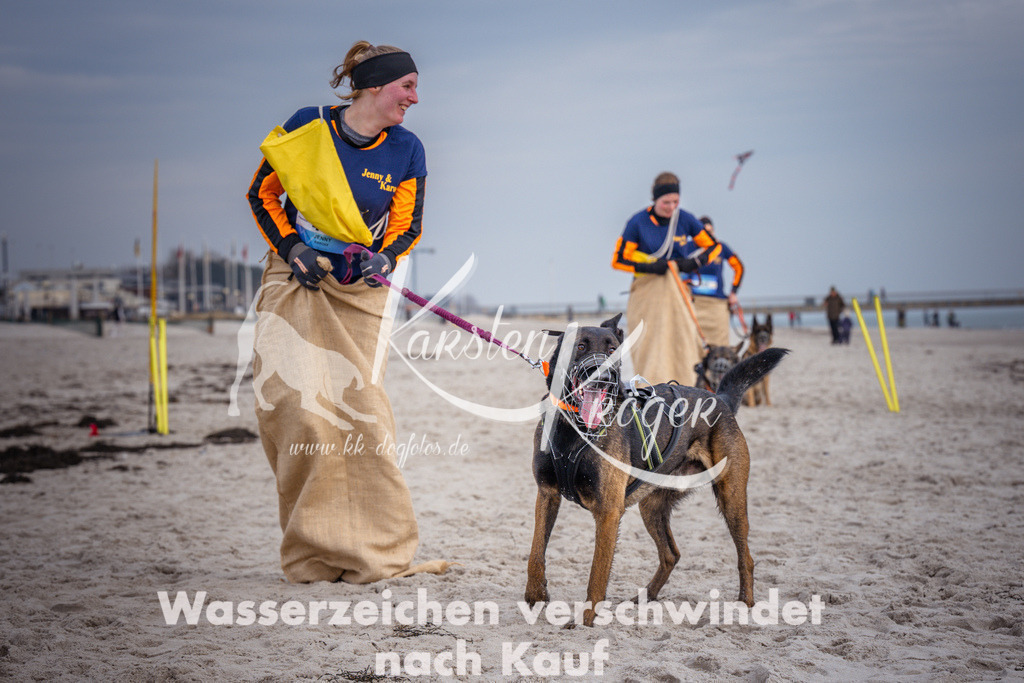 1256_ZZ97161 | kk-dogfotos