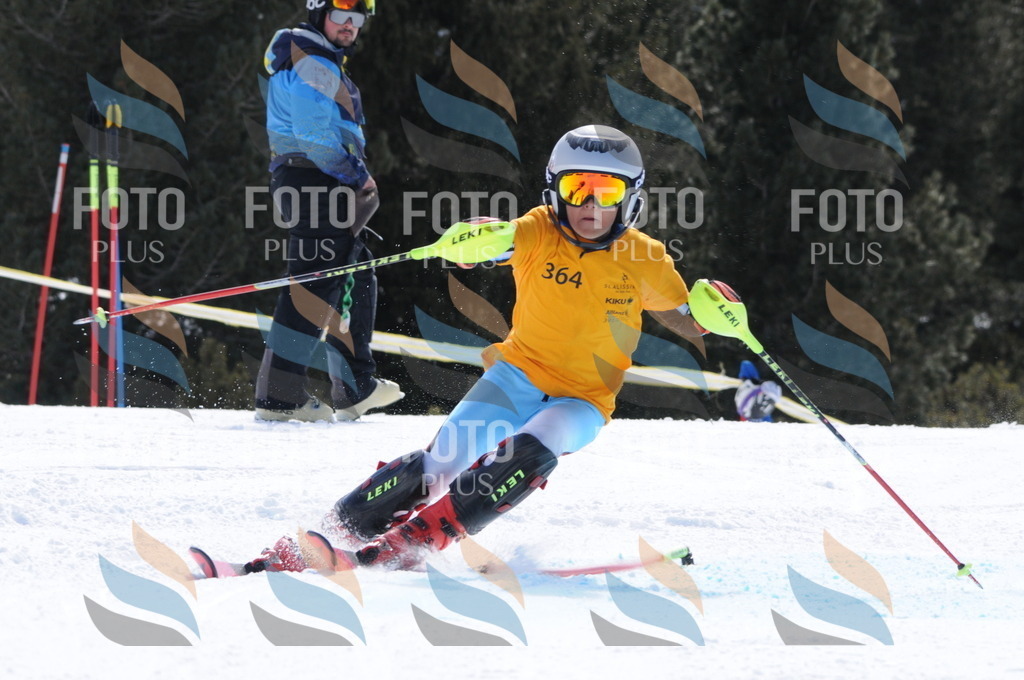 C9431 | holidayphoto