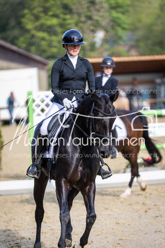 Donop24-A-Dre-119 | MomenTaufnahmen Pferdesportfotos