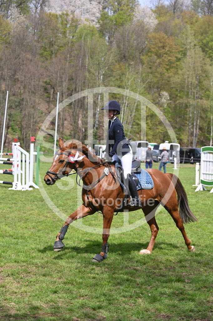 DSC_1963 | sattelsport - Realisiert mit Pictrs.com