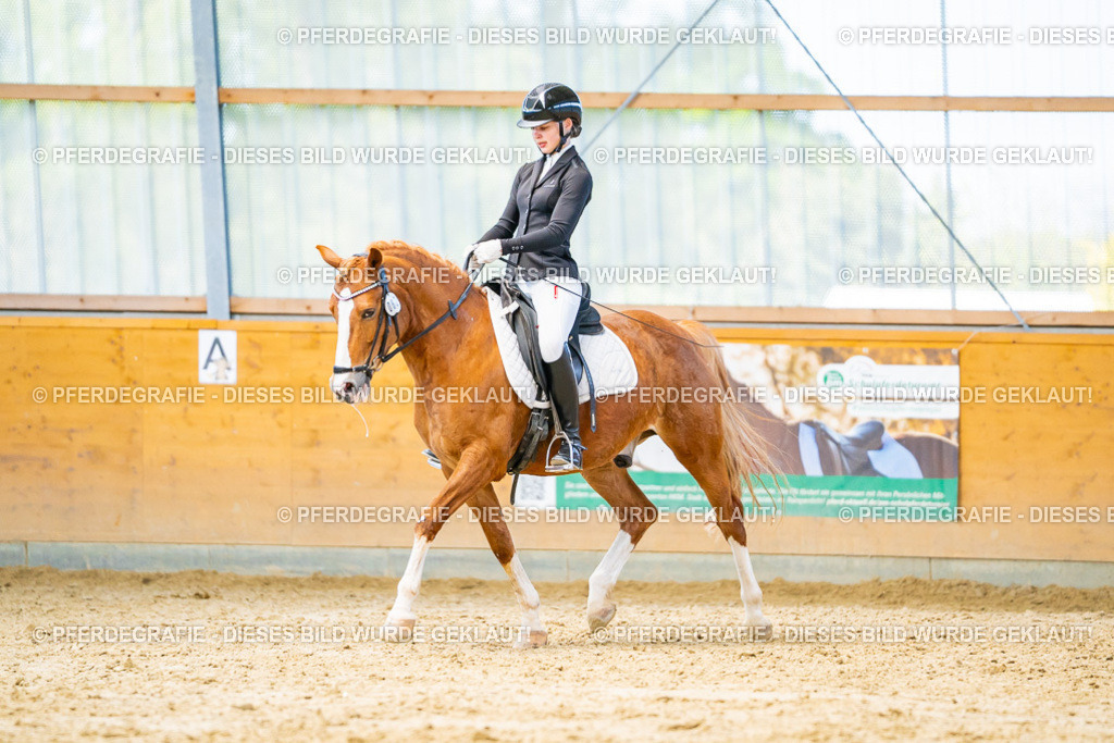 DSC08146 | Pferdegrafie