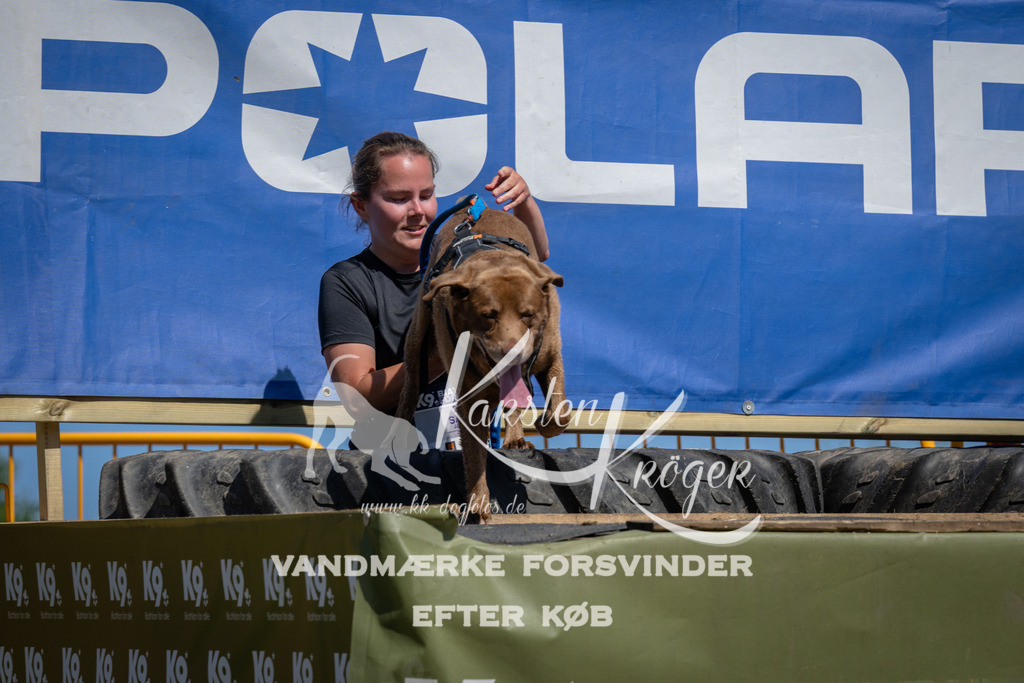 1257_ZZ97671 | kk-dogfotos