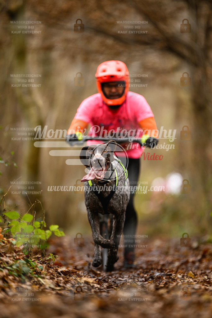 MompixPhotography_Eschau2024_DS1-4 | PayLife
