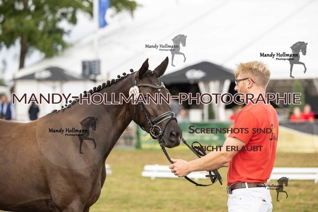 26-8-22 DR III-30 | mandyhollmannphotographie