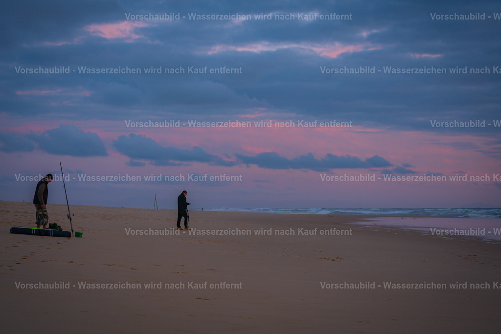 DSC02074 | marcuslinek