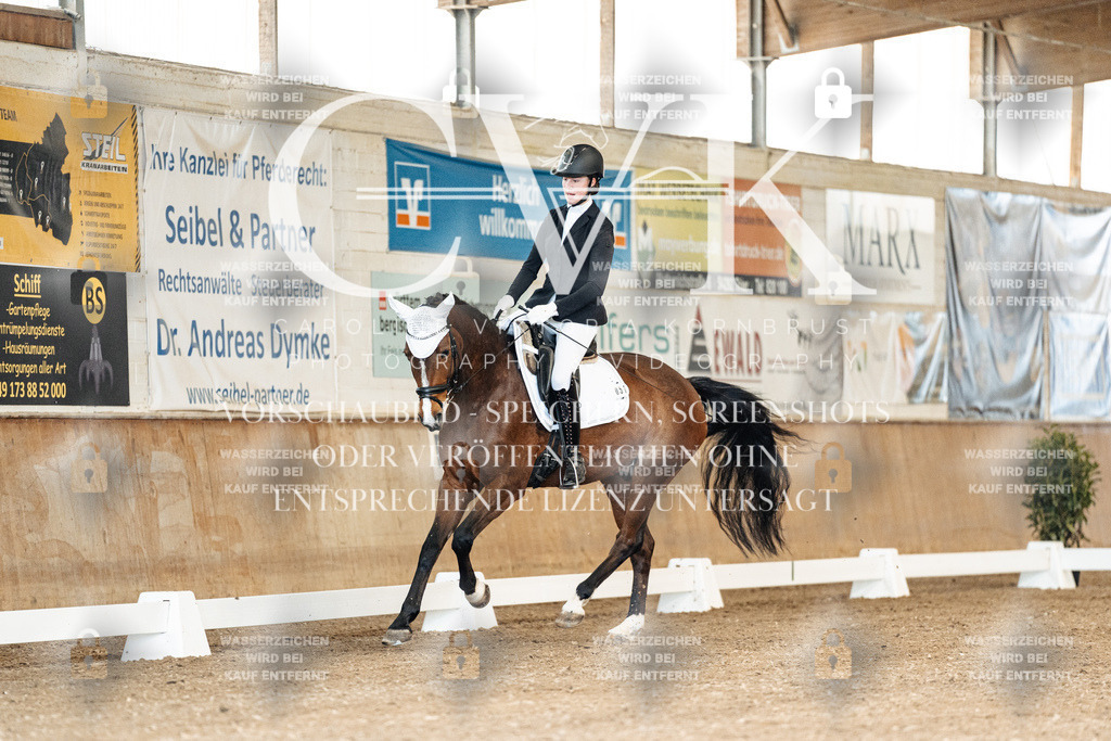 CK900693 | Turnierfotografie Pferdefotografie Trier Rheinland-Pfalz Pferdesport Reitsport Tierfotografie Sportfotografie Pferdevideo Pferdevideografie Equestrianvideography equestrianphotography  - Realisiert mit Pictrs.com