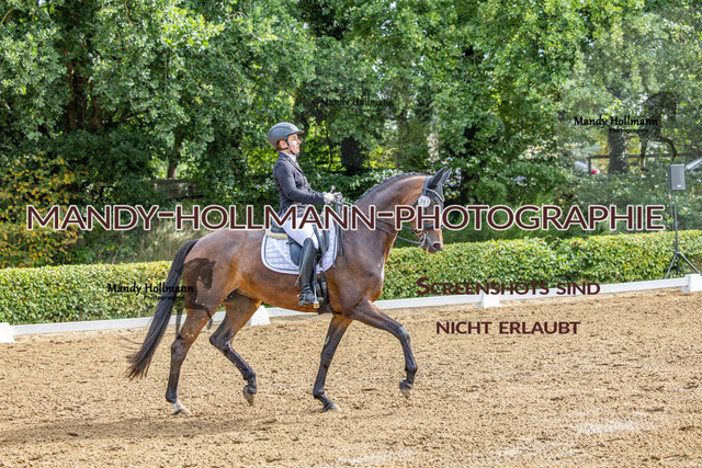 16.8.25 D1 DRE M-139 | mandyhollmannphotographie