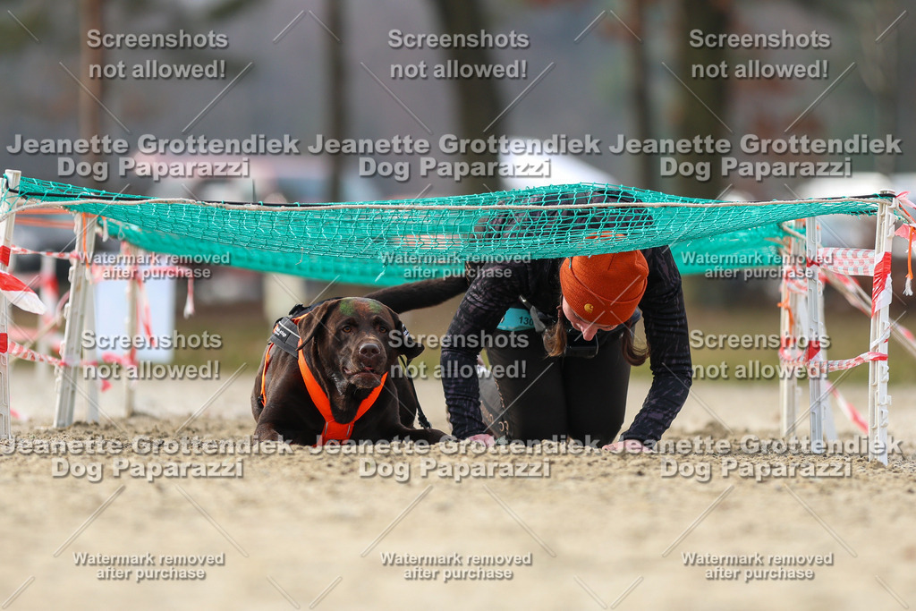Dog Paparazzi - Strongdog North Mrz26-4796 | Dog Paparazzi Jeanette Grottendiek Fotografie & Videografie - Realisiert mit Pictrs.com