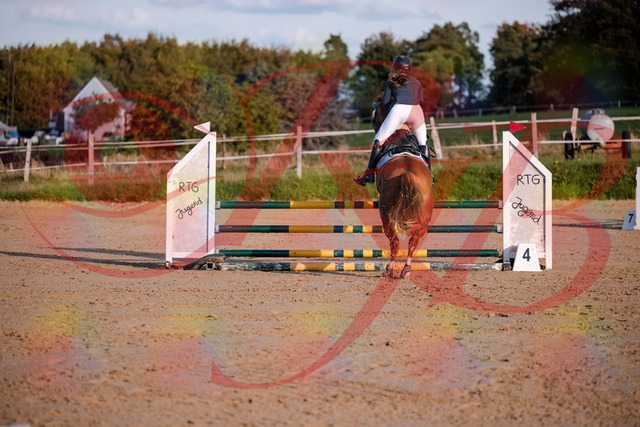 2026_10_03_Siefer-Hof_171217_Z81_09398078 | Professionelle Reitsport-, Turnier- und Eventfotografie von Robert Broda. Galerien mit ausgewählten und bearbeiteten Bildern direkt online ansehen und bestellen.