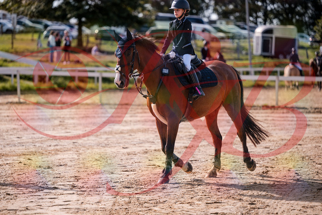 2026_10_03_Siefer-Hof_143653_Z81_05592636 | Professionelle Reitsport-, Turnier- und Eventfotografie von Robert Broda. Galerien mit ausgewählten und bearbeiteten Bildern direkt online ansehen und bestellen.