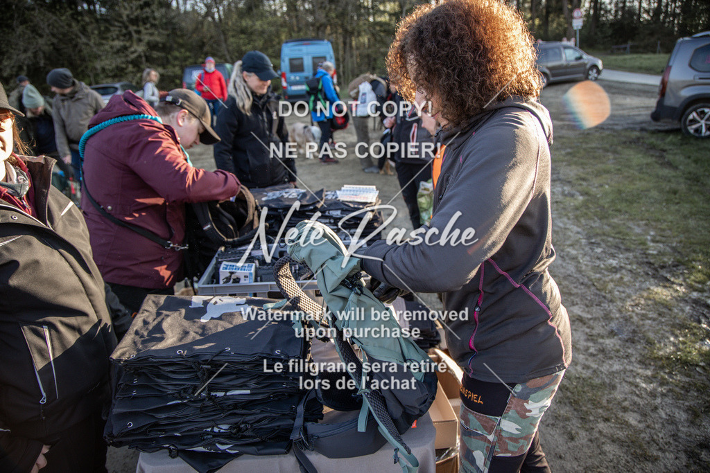 NR__0195-2 | nelerasche