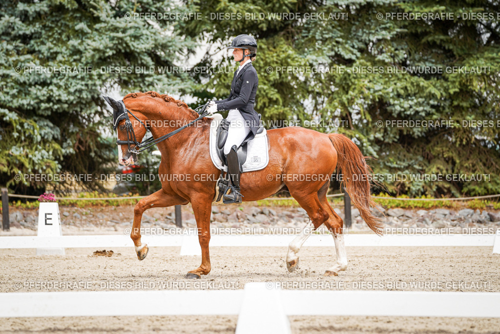 DSC05691 | Pferdegrafie