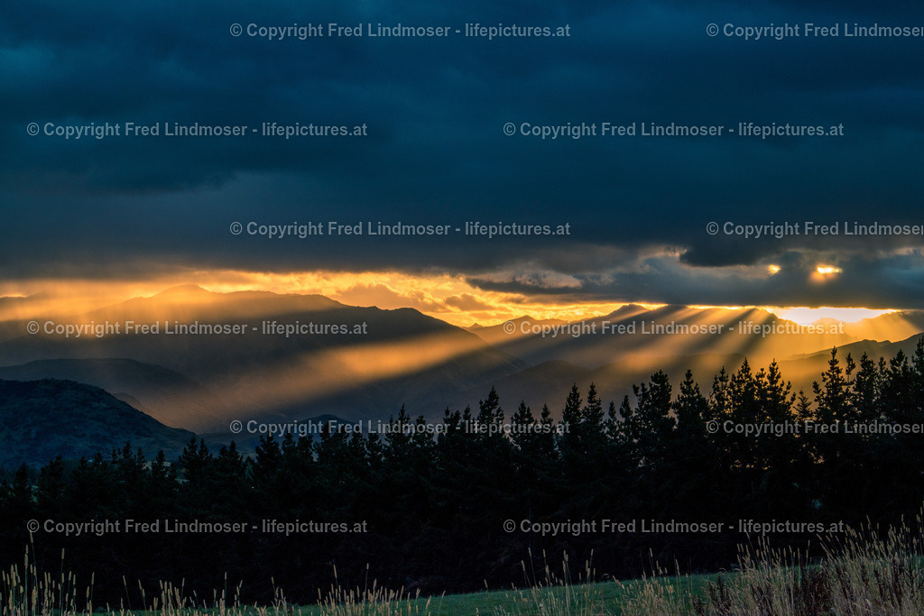 Neuseeland-1341 | Fotos und Fotoprodukte - Realisiert mit Pictrs.com