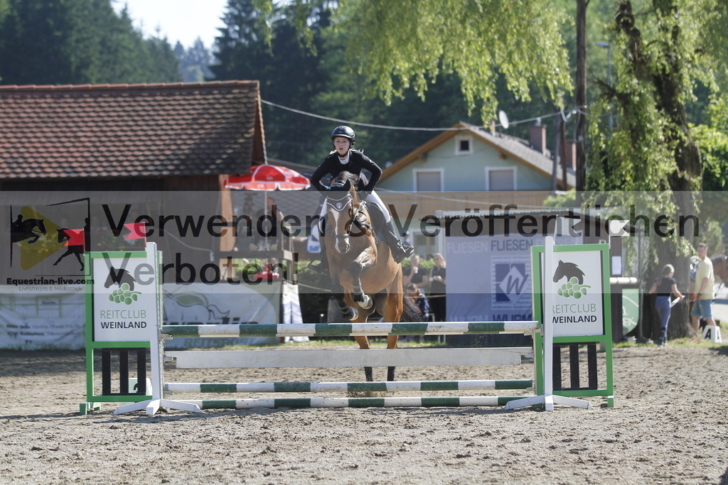_MG_8301 | equestrian-live-com