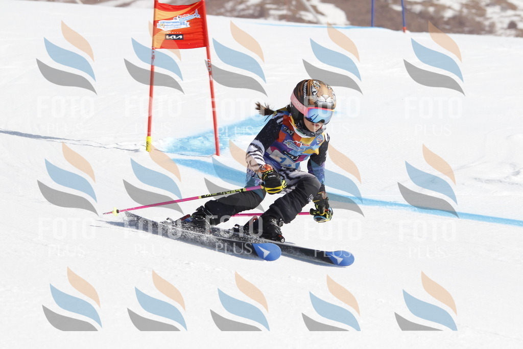 _U3G8737 | holidayphoto