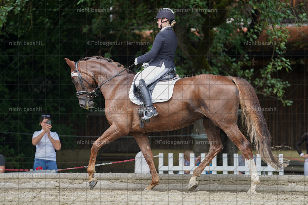 20230826-FAH05553 | Forstinning, 2023, Dressurturnier, Turniersportbilder, Turnierfotografen Bayern, Fotoagentur Herrmann, Reitsportfotografie, Turnierbilder