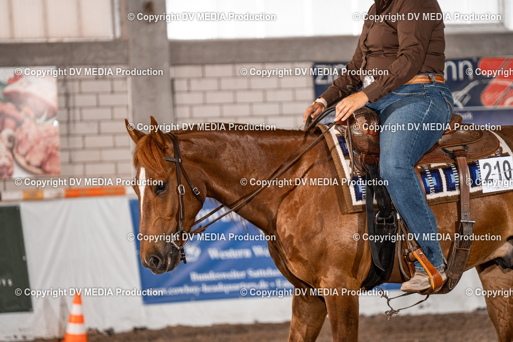 ZH100057 | dv-media-shop - Realisiert mit Pictrs.com