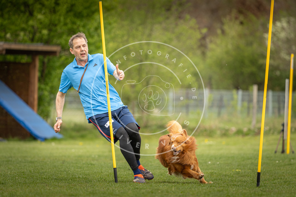 Pfotenfotografie_DV3A7374 | Hundefotografie, Tierfotograf, Pfotenfotografie, Fotoshooting Hund, Hunde Portrait, Hundesport, Hundeportraits, Heideshooting, Hunde, Sportfotograf, Hundefotograf, Turnierhundsport, THS,  - Realisiert mit Pictrs.com