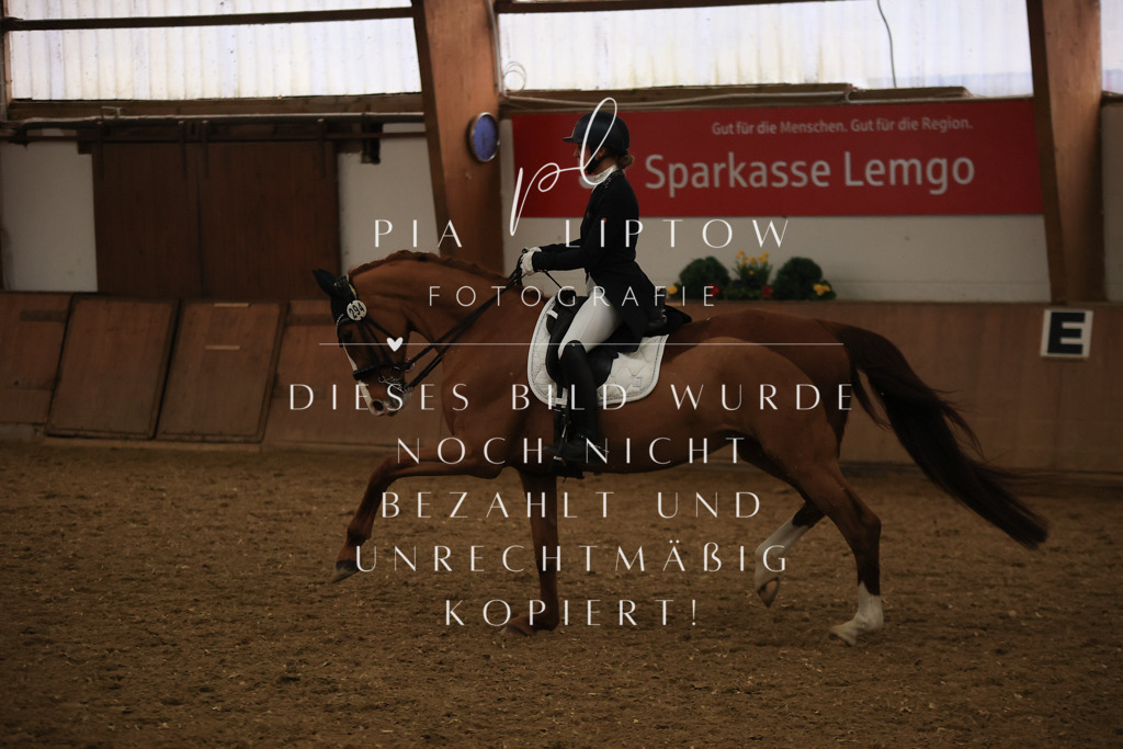 IMGT6030 | pl-fotografie