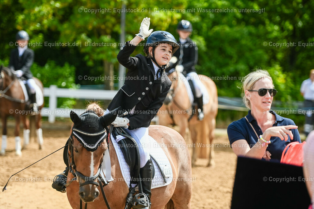 20230716_10-3_Reiter-WB Schritt - Trab - Galopp_0211 | equistock